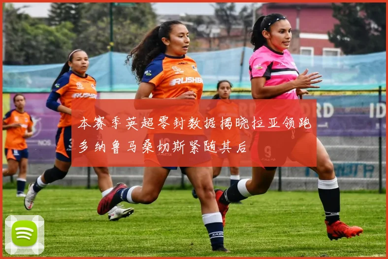 本赛季英超零封数据揭晓拉亚领跑多纳鲁马桑切斯紧随其后