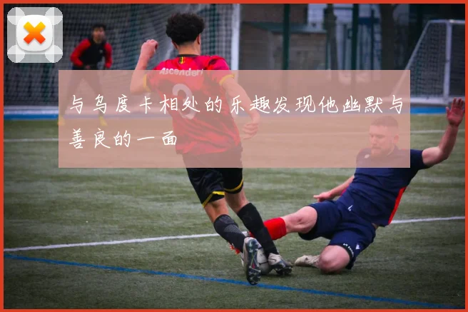 与乌度卡相处的乐趣发现他幽默与善良的一面