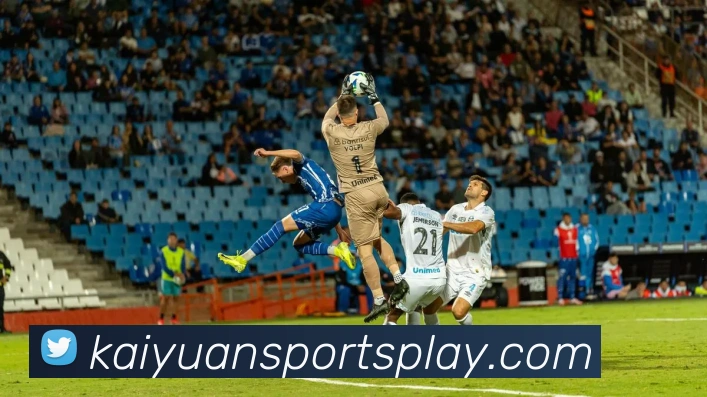 开元体育平台生态图