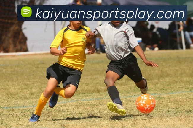 开元体育APP 封面图